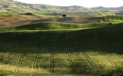 Las Cabezas de San Juan (Sevilla, España). 