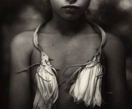 sally-mann-night-blooming